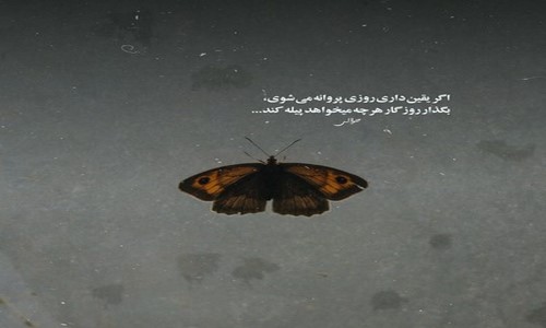 علی یاسینی پوری نفهمیدم زندگی رو و خوبیاش مال بهترونه حتما